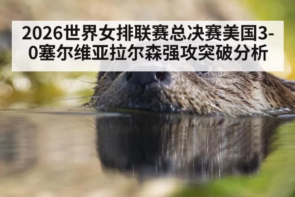 2026世界女排联赛总决赛美国3-0塞尔维亚拉尔森强攻突破分析 - bandaotiyu